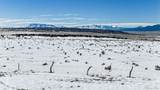 19C Turkey Ridge Ranch - Photo 13
