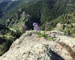 5162 Raven Gulch Road - Photo 24