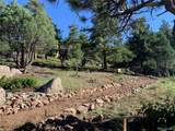 5162 Raven Gulch Road - Photo 10