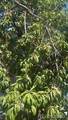 160 Utica Street - Photo 8
