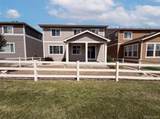 2450 Garganey Drive - Photo 5