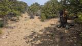Lot 1628 Hidalgo Road - Photo 14