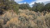 Lot 1628 Hidalgo Road - Photo 18