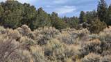 Lot 1628 Hidalgo Road - Photo 6