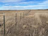  County 41 Road - Photo 11