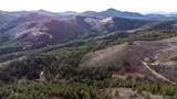 9079 Murphy Gulch Road - Photo 32
