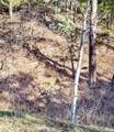 9079 Murphy Gulch Road - Photo 34