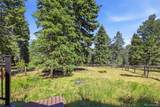 8818 Blue Creek Road - Photo 39