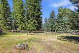 8818 Blue Creek Road - Photo 40