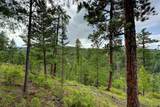 6855 Lynx Lair Road - Photo 5