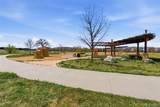 6848 Lupine Way - Photo 49