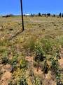 Lot 5556 Shavano Trail - Photo 19