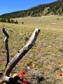 Lot 5556 Shavano Trail - Photo 3