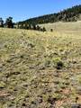 Lot 5556 Shavano Trail - Photo 5