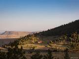 64 Canyon Pines Drive - Photo 15