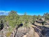 23047 Big Game Trail - Photo 24