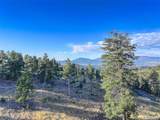 23047 Big Game Trail - Photo 28