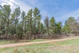8257 Bannock Drive - Photo 21