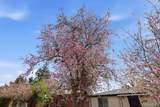 4740 Jewell Avenue - Photo 32