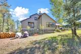 21556 Spring Creek Trail - Photo 43
