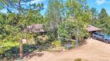 21556 Spring Creek Trail - Photo 44