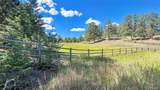 21556 Spring Creek Trail - Photo 49
