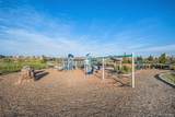 14341 Beebalm Loop - Photo 34