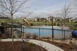 14028 Blue Wing Lane - Photo 14