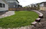 14028 Blue Wing Lane - Photo 15