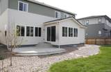 14028 Blue Wing Lane - Photo 16