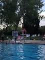 5730 Snowberry Drive - Photo 48