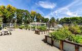 6625 84th Circle - Photo 32
