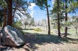  Tbd Pine Valley Road - Photo 11