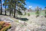  Tbd Pine Valley Road - Photo 14
