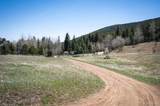  Tbd Pine Valley Road - Photo 5