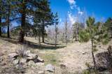  Tbd Pine Valley Road - Photo 7