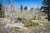  Tbd Pine Valley Road - Photo 8