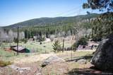  Tbd Pine Valley Road - Photo 9
