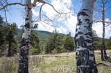  Tbd Pine Valley Road - Photo 10