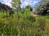 291 County Road 51 - Photo 40