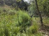 291 County Road 51 - Photo 43