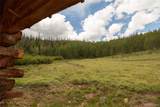 1001 Cr 17 Cebolla Cabin - Photo 11
