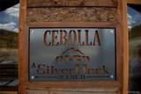 1001 Cr 17 Cebolla Cabin - Photo 3