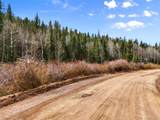 464 Bison Creek Trail - Photo 2