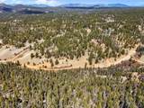 464 Bison Creek Trail - Photo 12