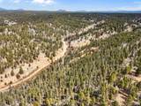 464 Bison Creek Trail - Photo 13