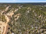 464 Bison Creek Trail - Photo 14