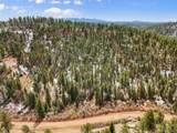 464 Bison Creek Trail - Photo 6