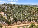 464 Bison Creek Trail - Photo 7
