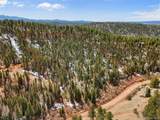 464 Bison Creek Trail - Photo 8